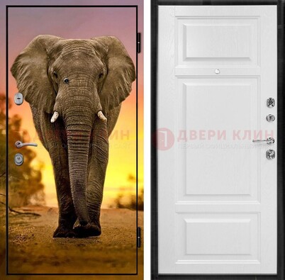Металлическая дверь с фотопечатью слона ДФ-30 в Орехово-Зуево