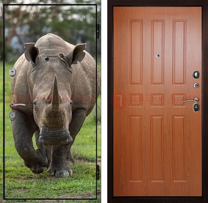 Металлическая дверь с фотопечатью носорога ДФ-31 в Сертолово
