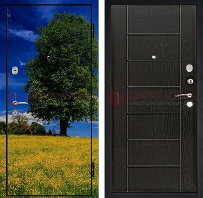 Железная дверь с фотопечатью дерева в поле ДФ-36 в Сертолово